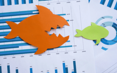 When Mergers Go Wrong: How Shareholders Can Protect Their Rights